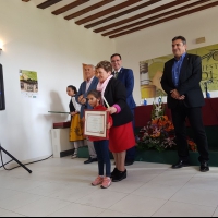 Primer premio infantil - Fiesta del olivo de Valdeolivas